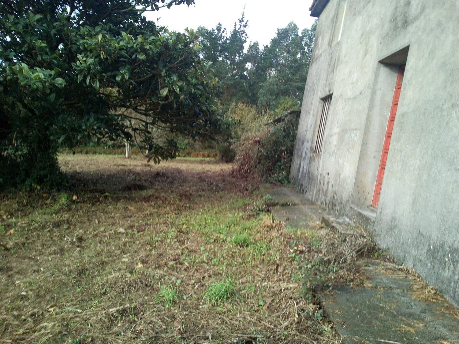 Casas o chalets-Venta-ValdoviÃ±o-2418287-Foto-10