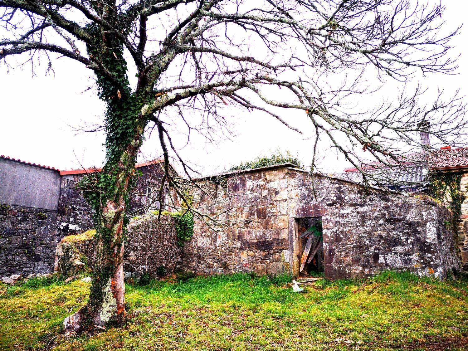 Casas o chalets-Venta-Ames-2418275-Foto-10