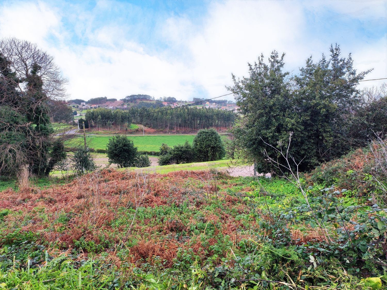 Fincas y solares-Venta-Arteixo-2418263-Foto-5