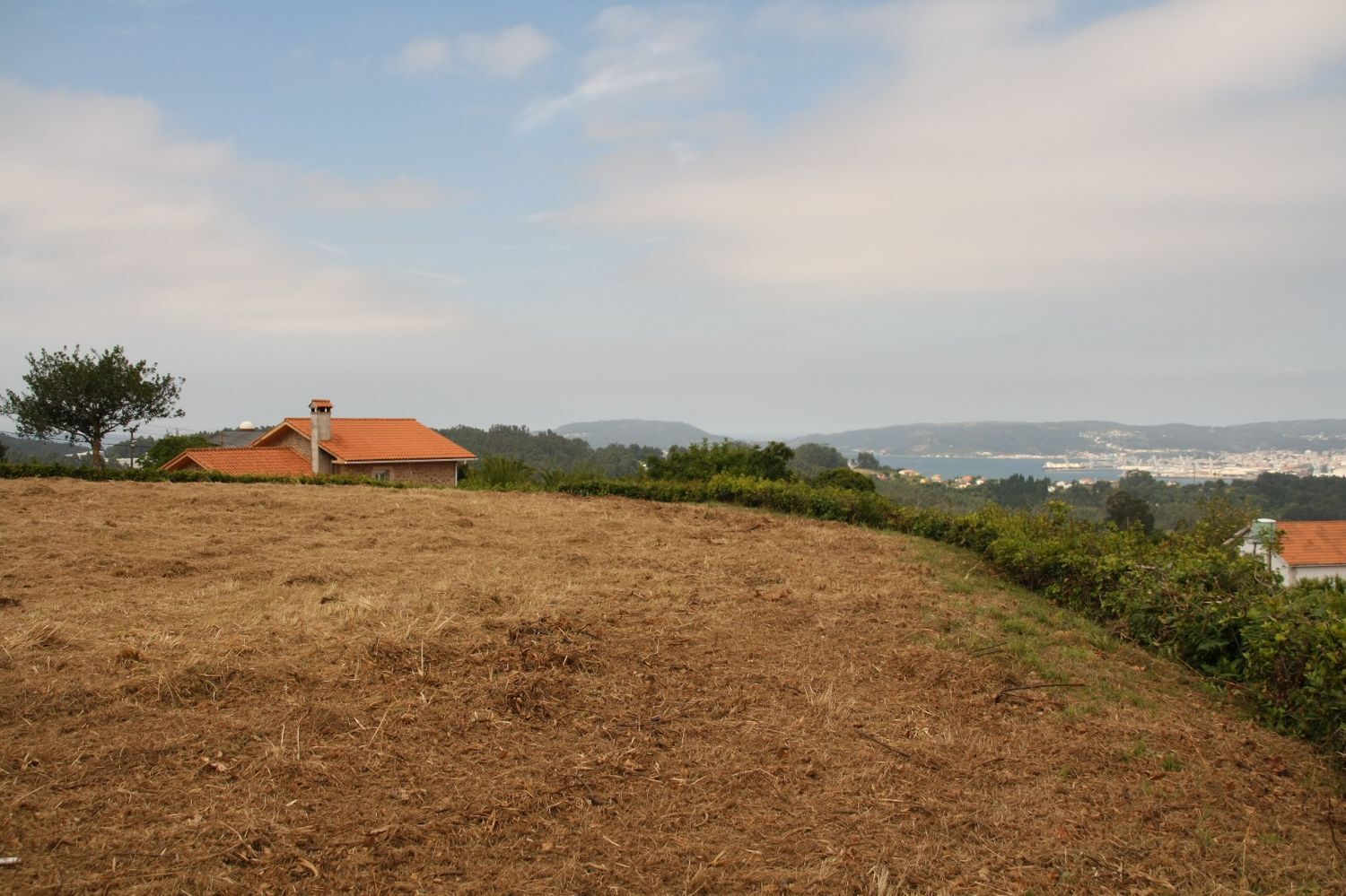 Pisos-Venta-Fene-2418245-Foto-27