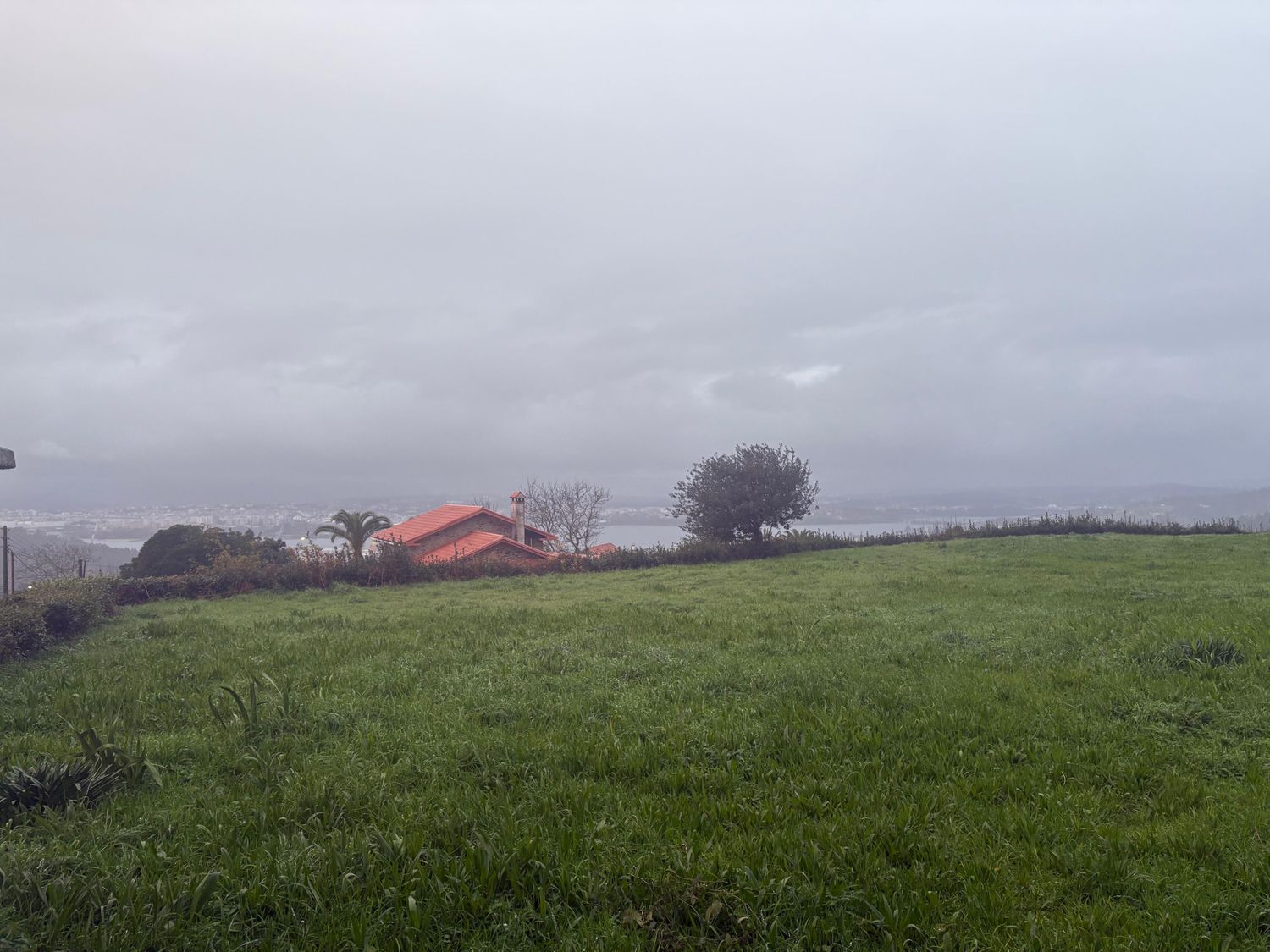 Pisos-Venta-Fene-2418245-Foto-30