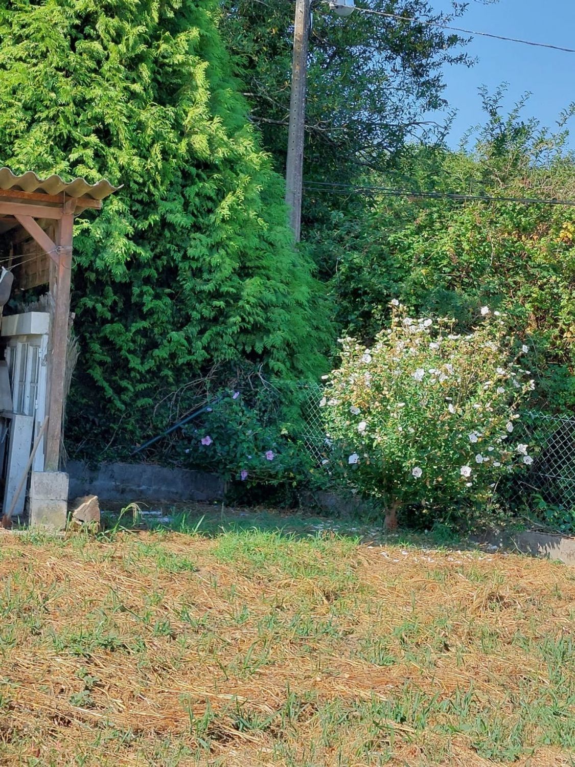 Fincas y solares-Venta-Betanzos-2418230-Foto-4