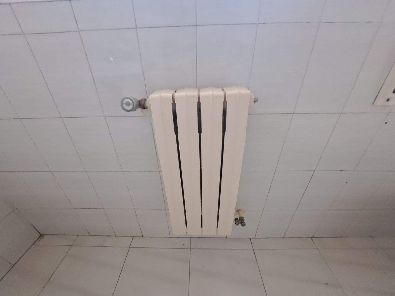 Pisos-Venta-ArzÃºa-2418221-Foto-37
