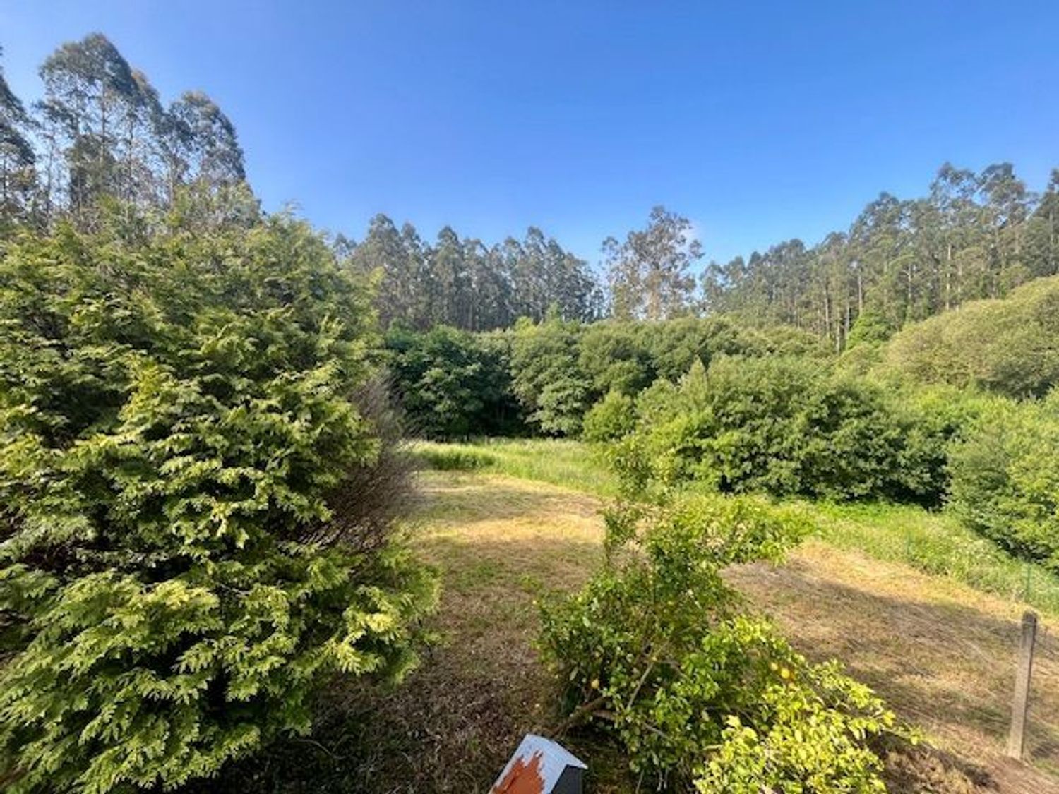 Casas o chalets-Venta-Cedeira-2418218-Foto-21