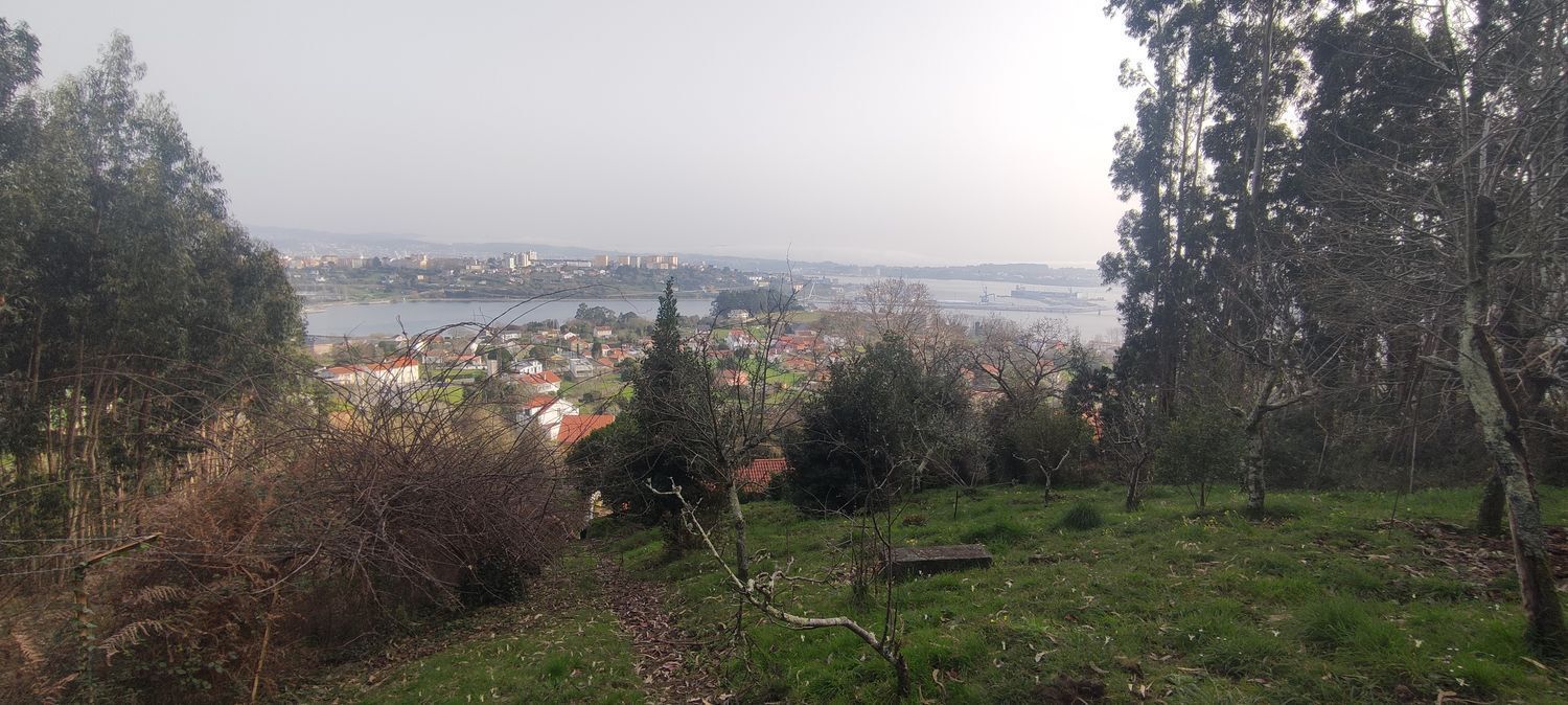 Casas o chalets-Venta-Ferrol-2418209-Foto-17