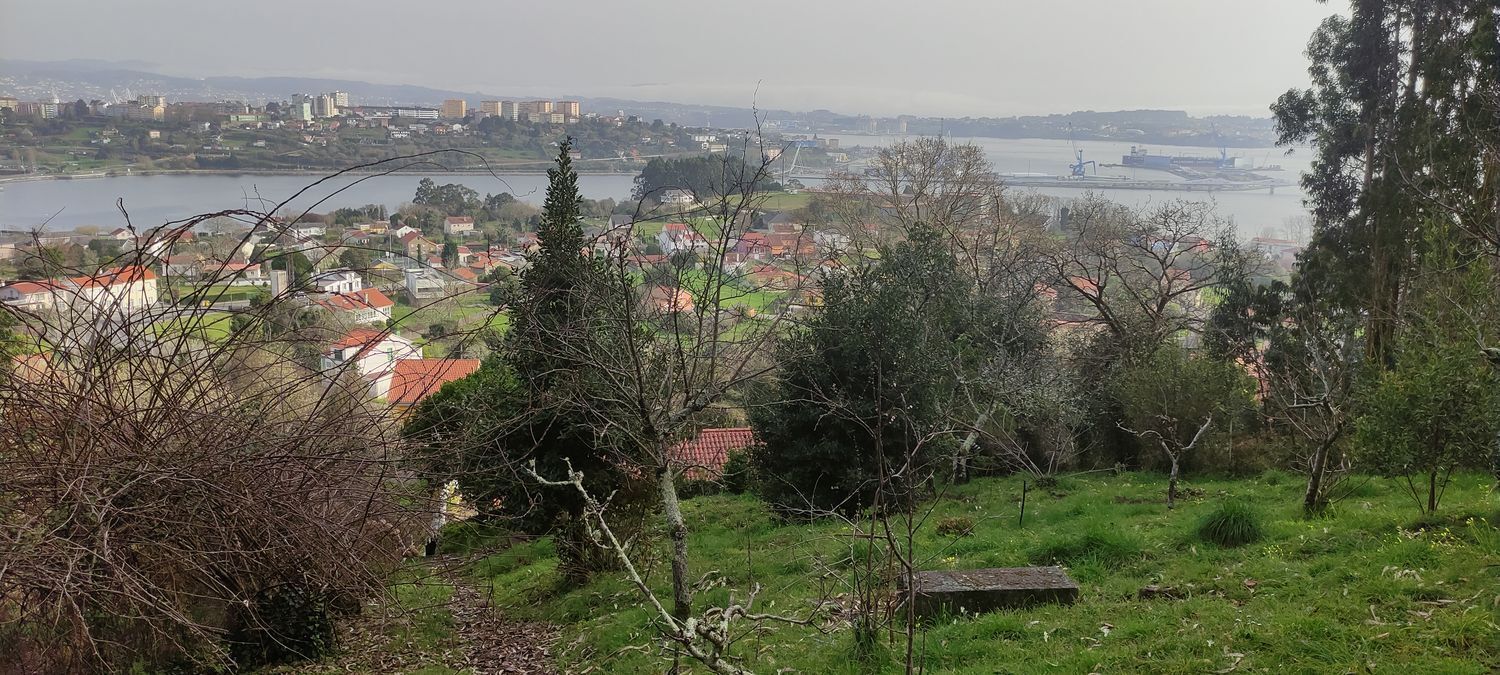Casas o chalets-Venta-Ferrol-2418209-Foto-18
