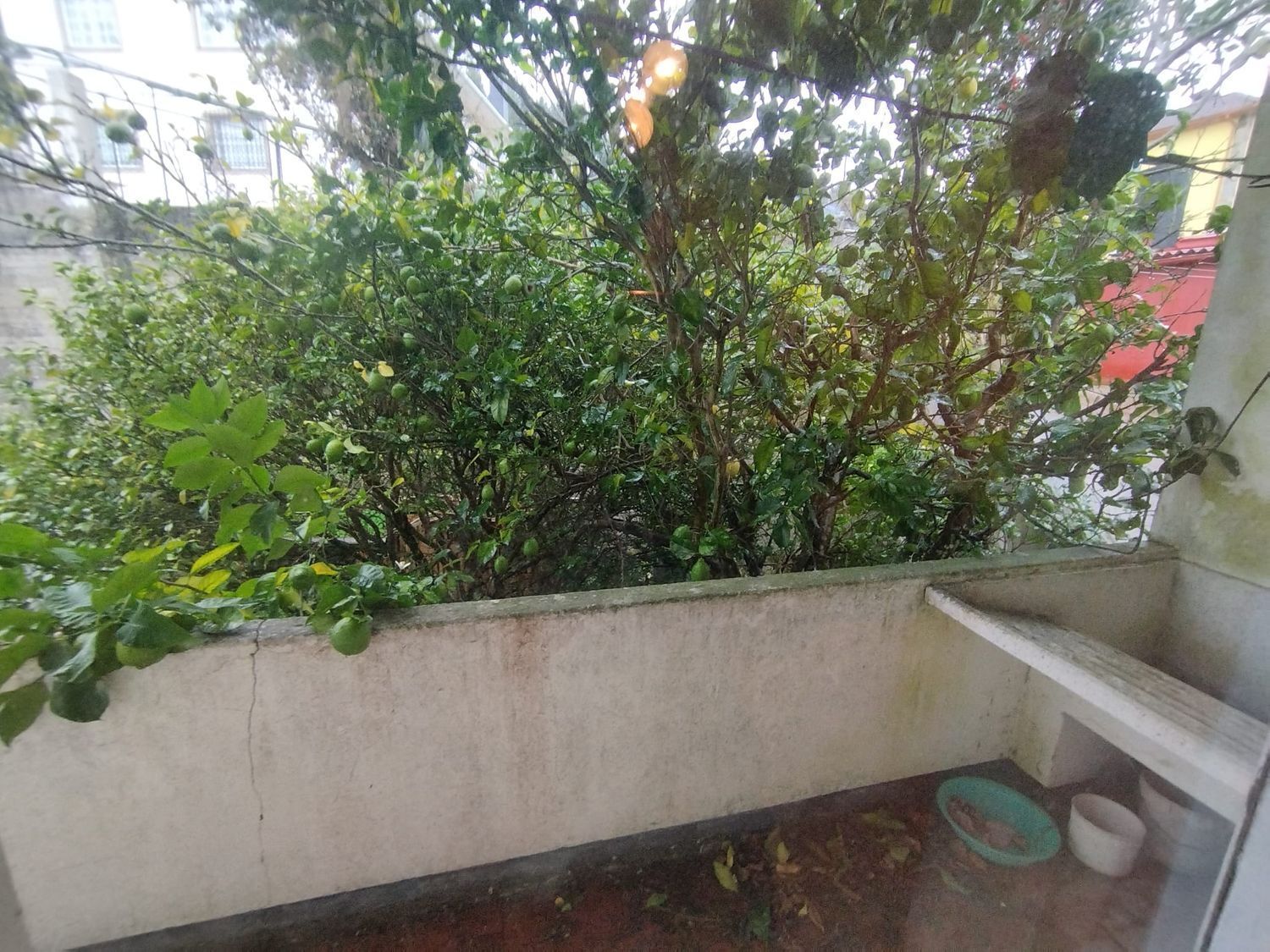 Casas o chalets-Venta-Fene-2418203-Foto-9