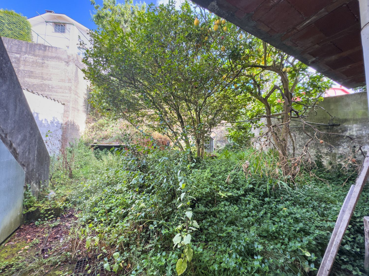 Casas o chalets-Venta-Fene-2418203-Foto-8