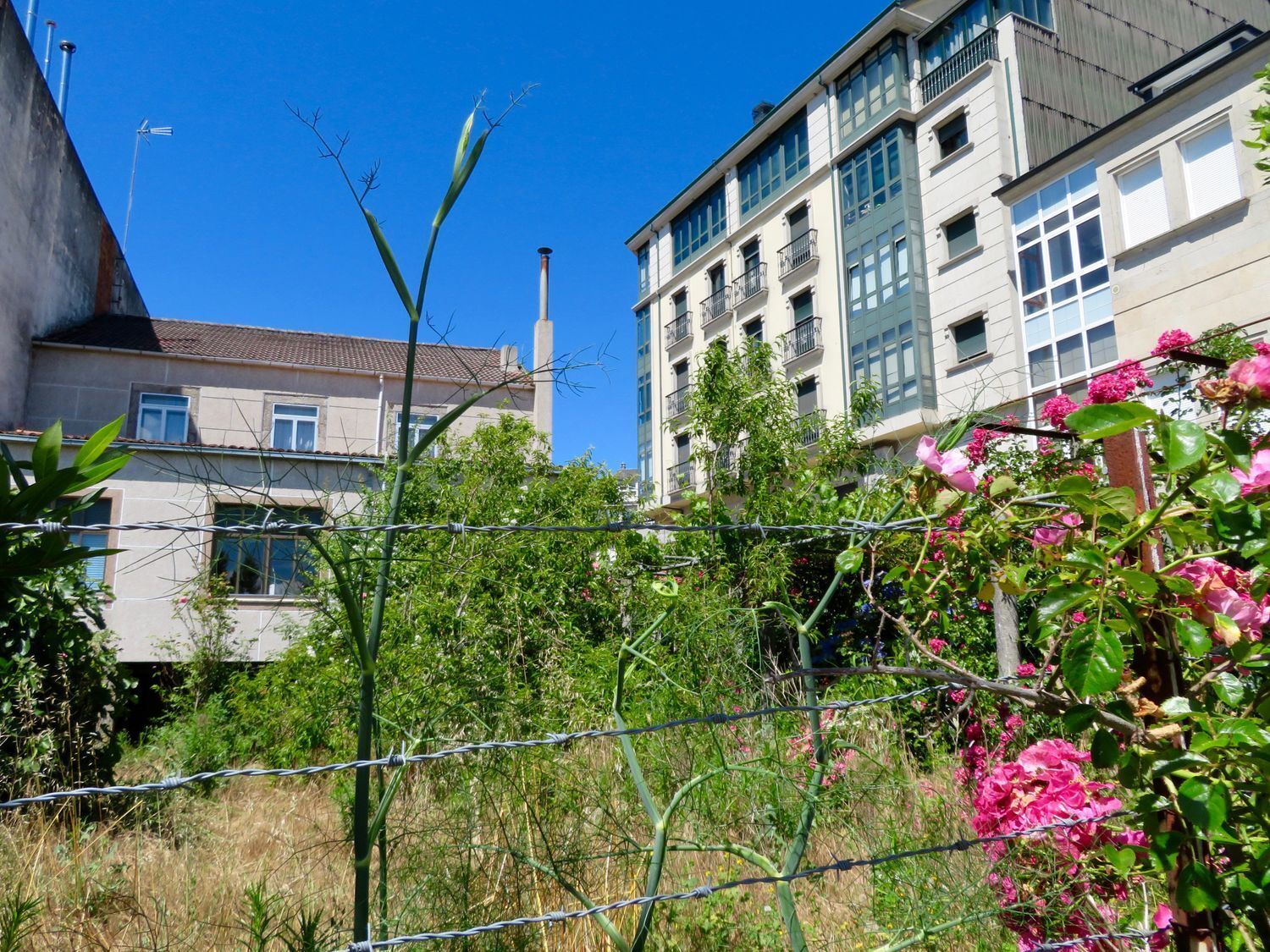 Edificios-Venta-Monterroso-2418155-Foto-27