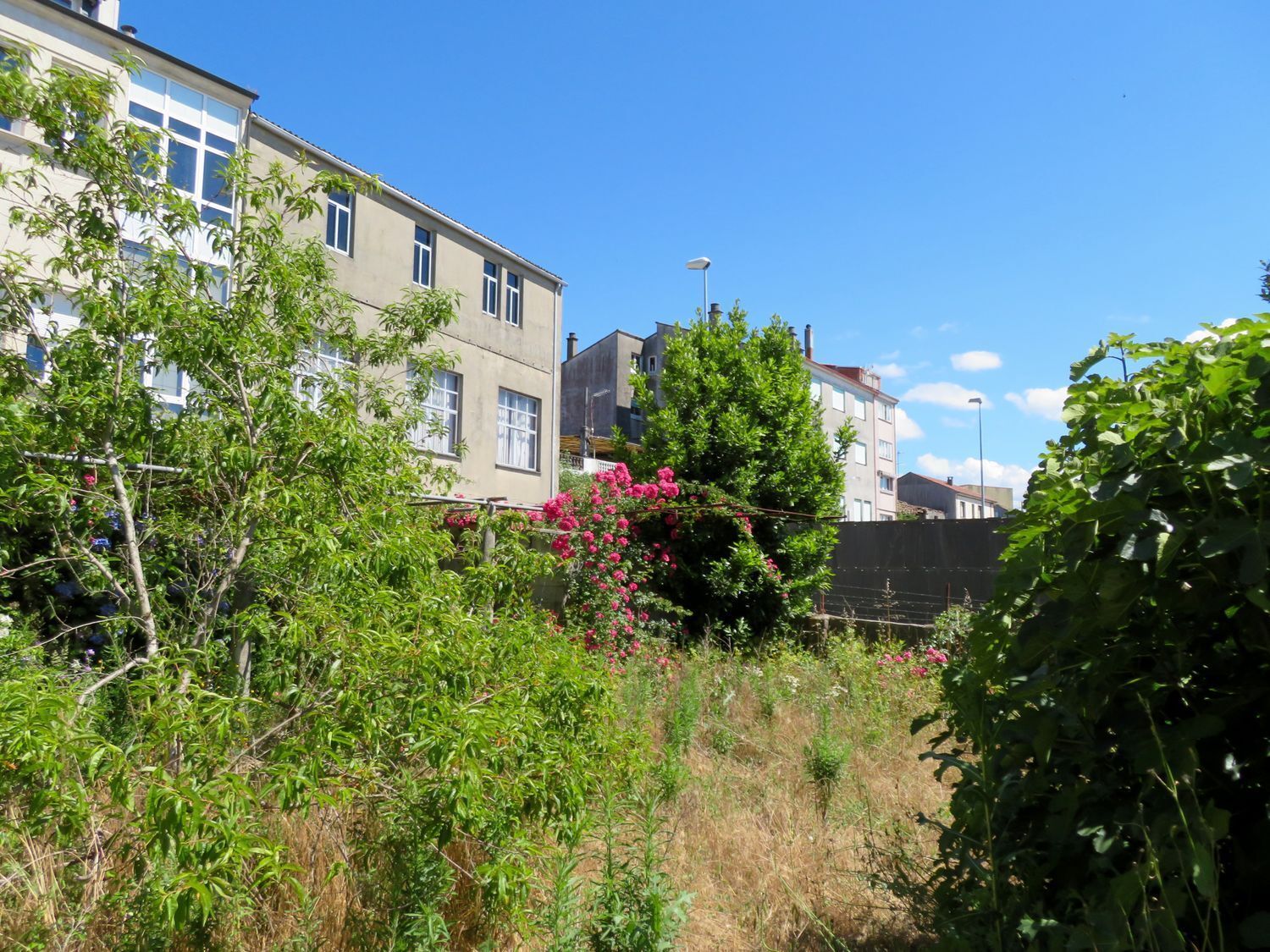 Edificios-Venta-Monterroso-2418155-Foto-28