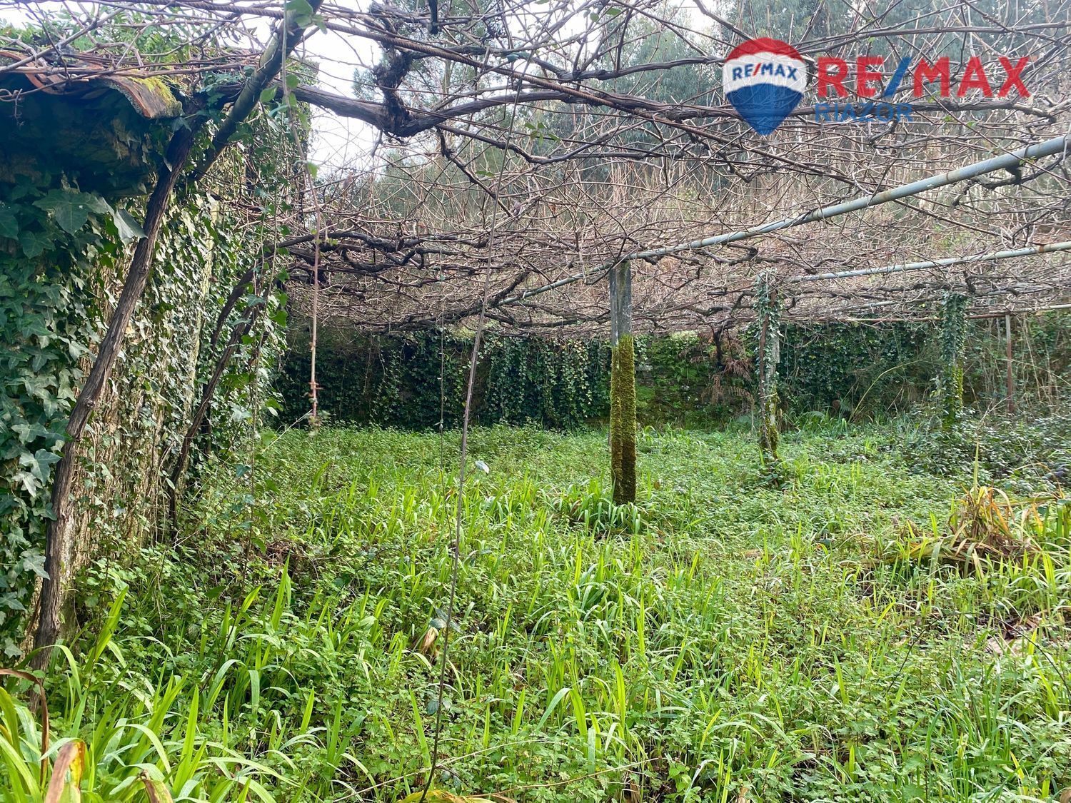 Pisos-Venta-Teo-2418128-Foto-14