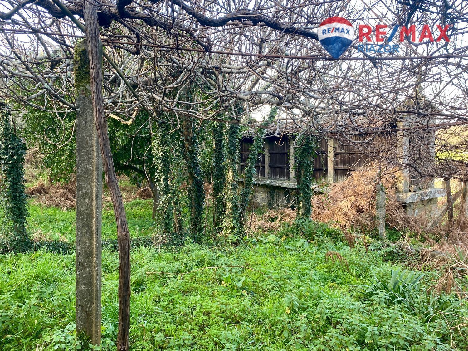 Pisos-Venta-Teo-2418128-Foto-16