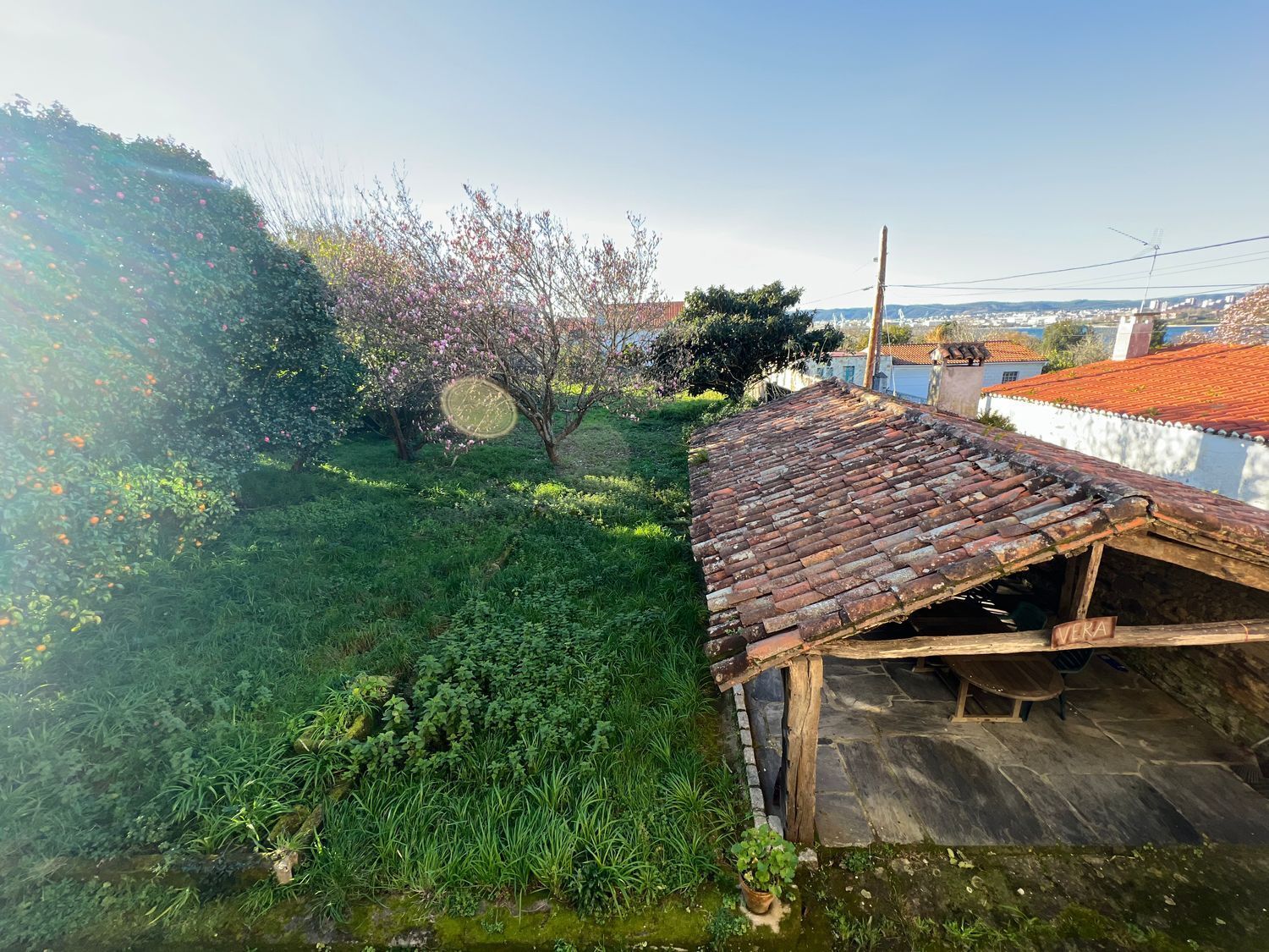 Casas o chalets-Venta-Fene-2418122-Foto-9