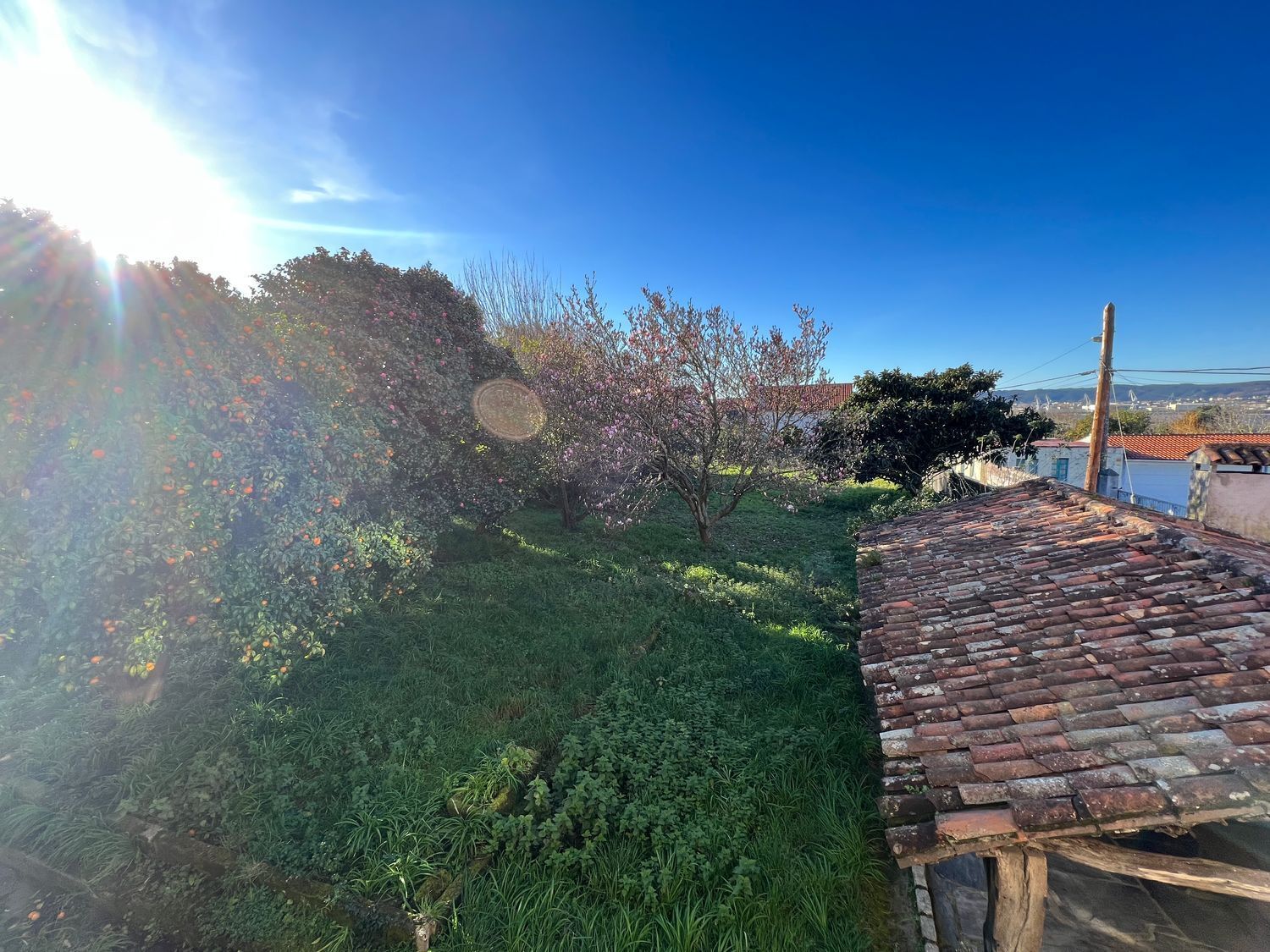 Casas o chalets-Venta-Fene-2418122-Foto-10