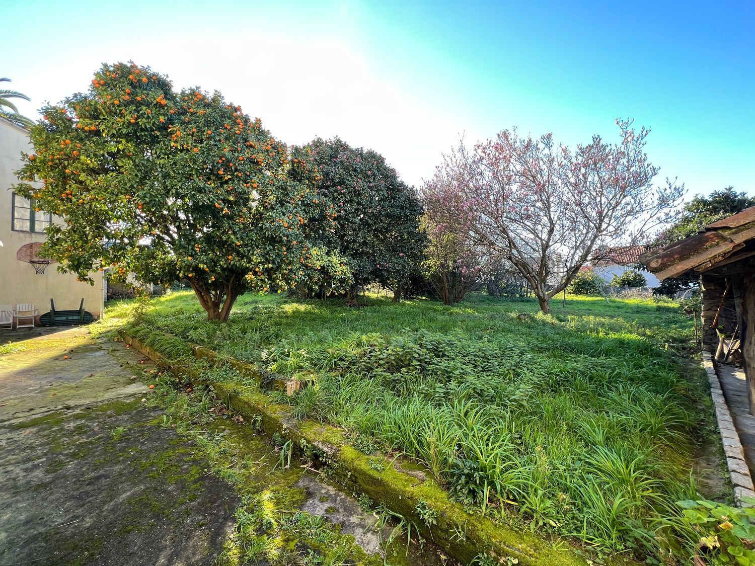 Casas o chalets-Venta-Fene-2418122-Foto-17