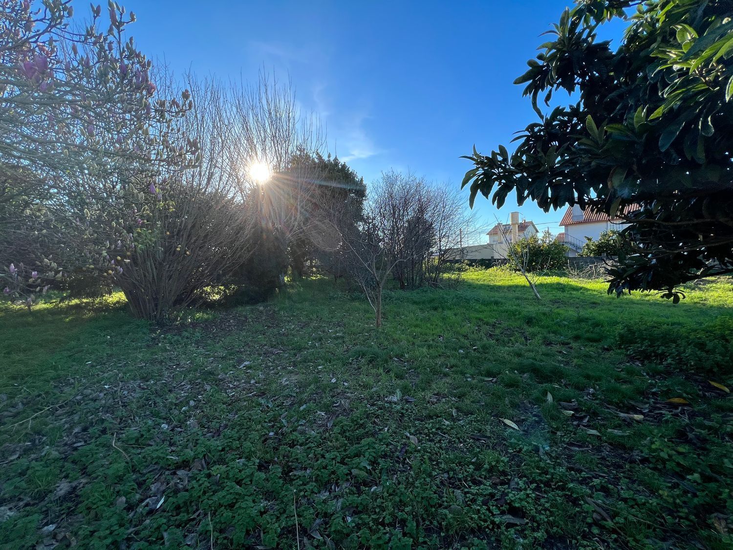 Casas o chalets-Venta-Fene-2418122-Foto-14