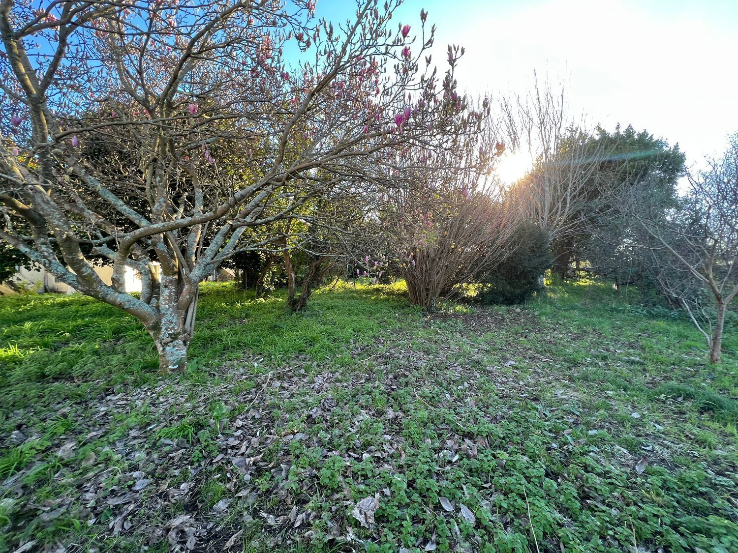 Casas o chalets-Venta-Fene-2418122-Foto-13