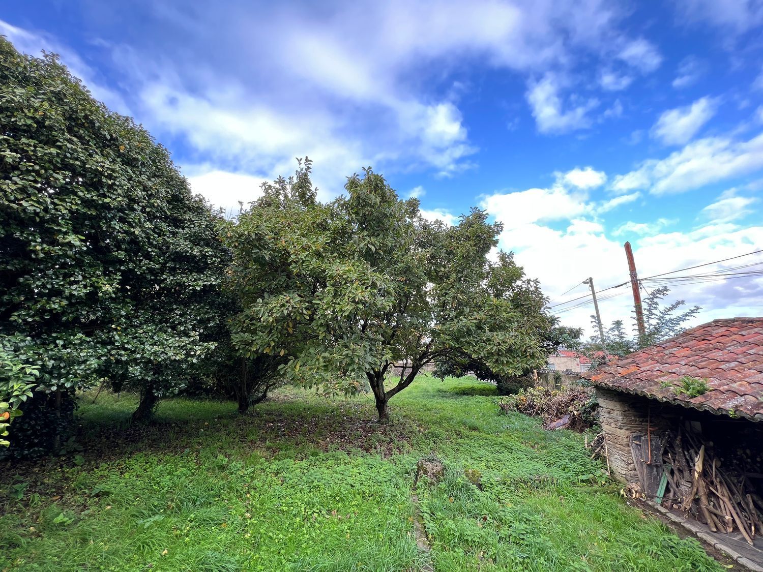 Casas o chalets-Venta-Fene-2418122-Foto-21