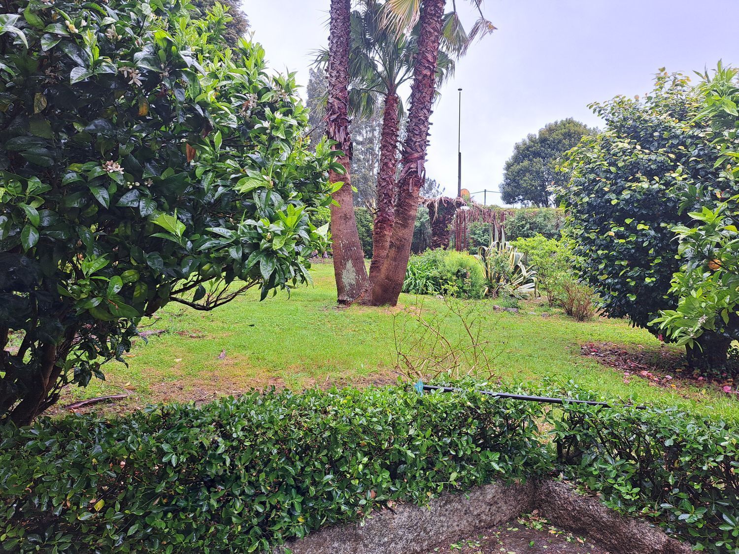 Casas o chalets-Alquiler-Teo-2418104-Foto-27