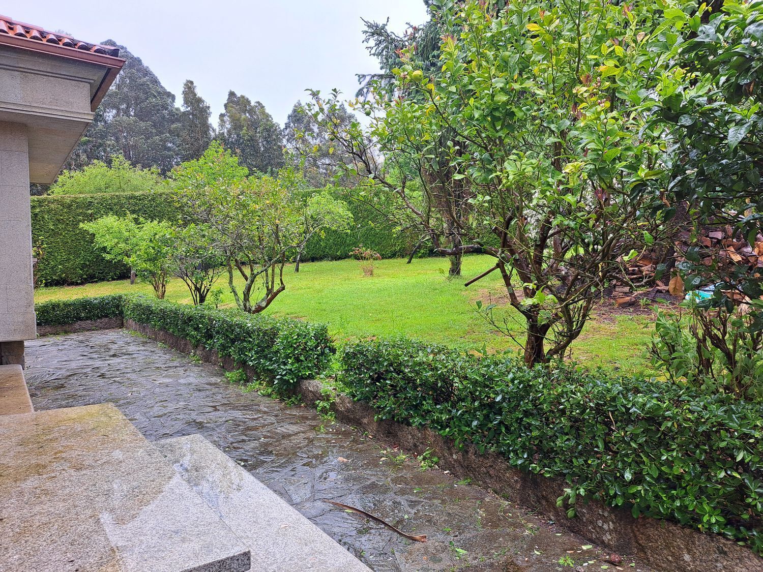 Casas o chalets-Alquiler-Teo-2418104-Foto-26