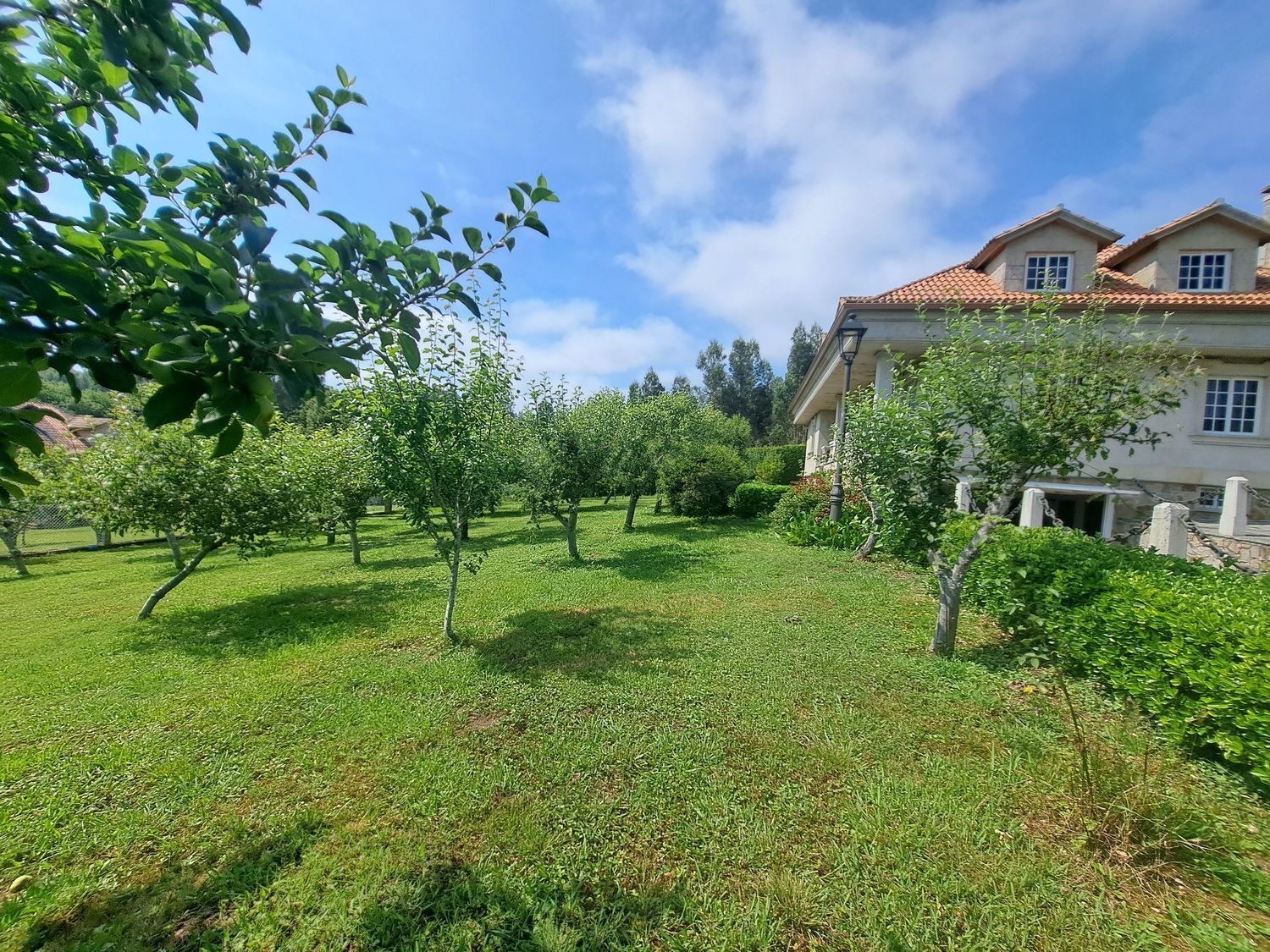 Casas o chalets-Alquiler-Teo-2418104-Foto-41
