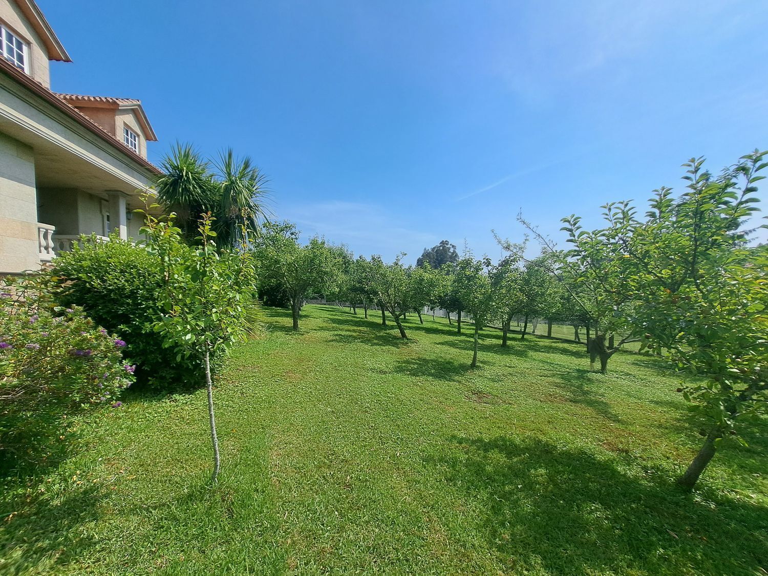 Casas o chalets-Alquiler-Teo-2418104-Foto-48