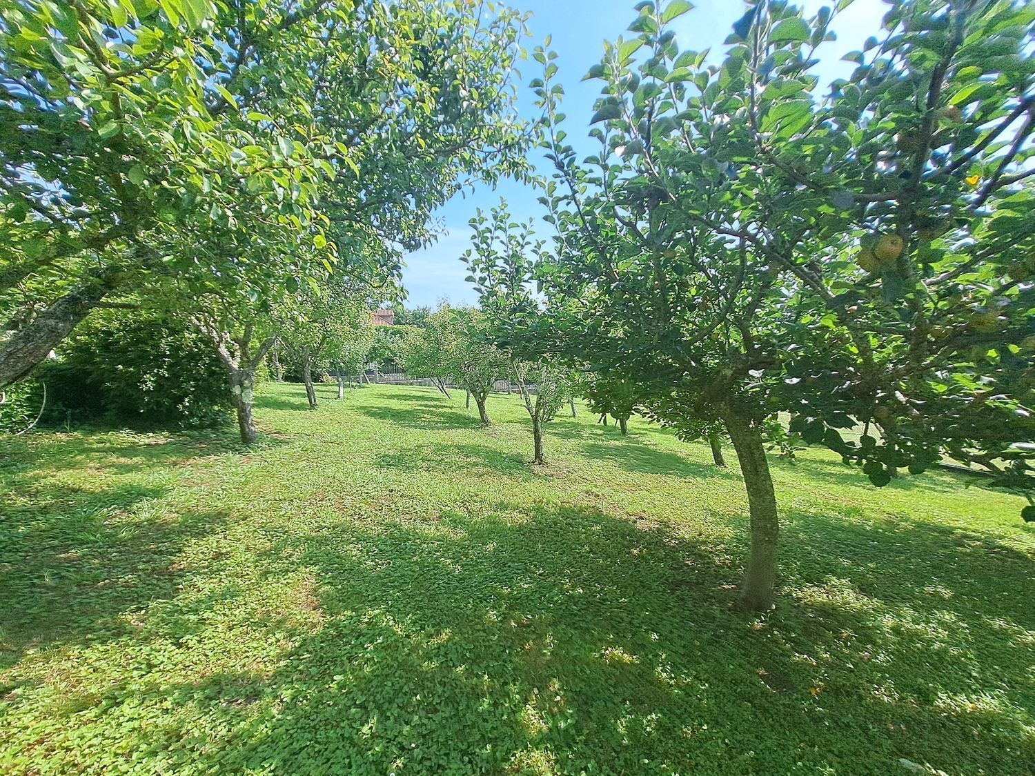 Casas o chalets-Alquiler-Teo-2418104-Foto-47