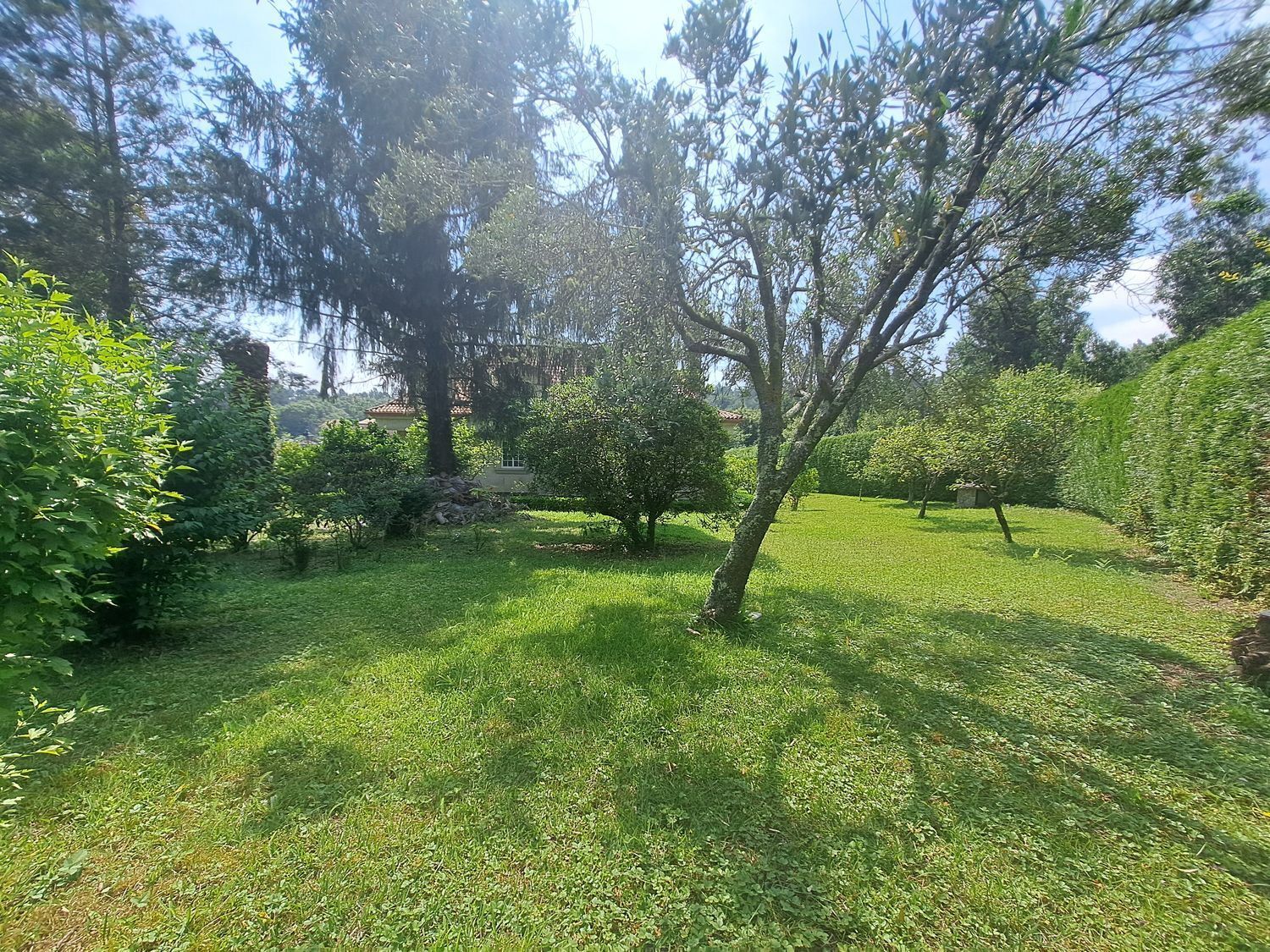 Casas o chalets-Alquiler-Teo-2418104-Foto-51