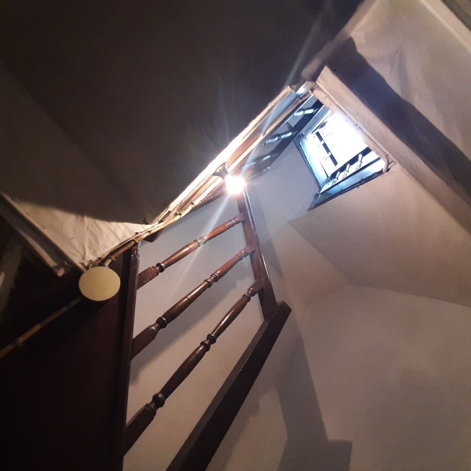 Casas o chalets-Venta-Viveiro-2418074-Foto-20