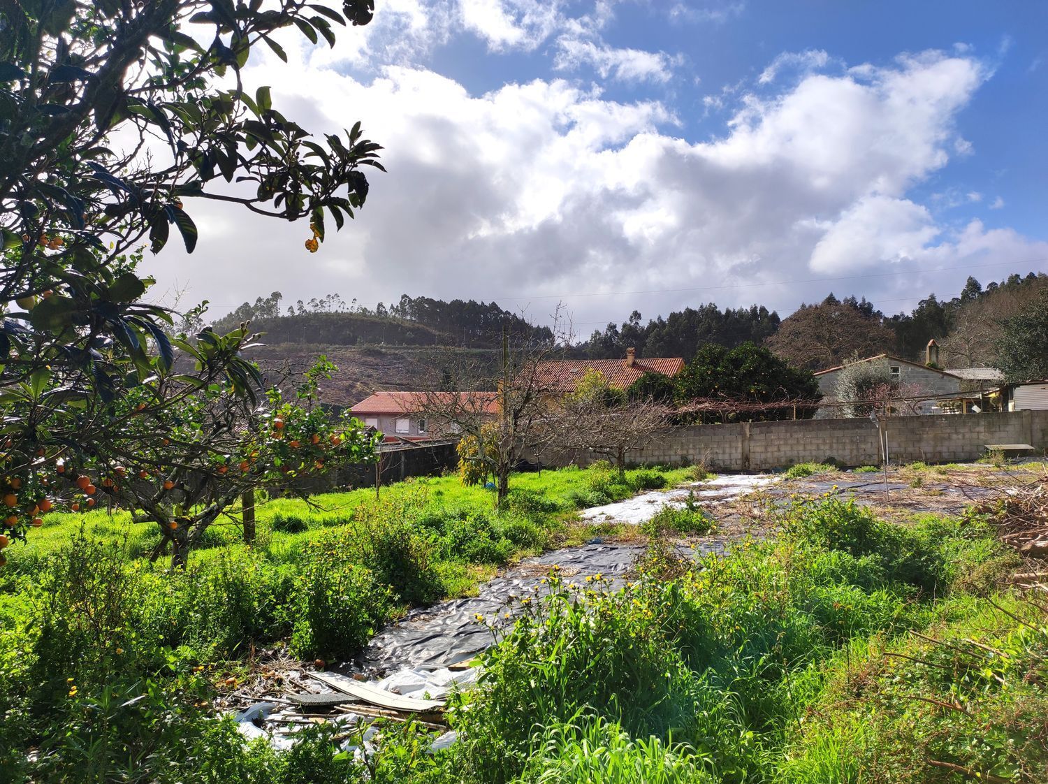 Casas o chalets-Venta-Culleredo-2418053-Foto-6