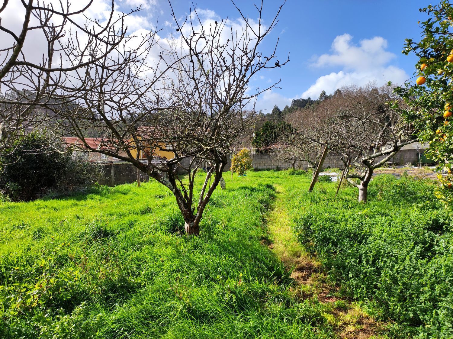 Casas o chalets-Venta-Culleredo-2418053-Foto-5