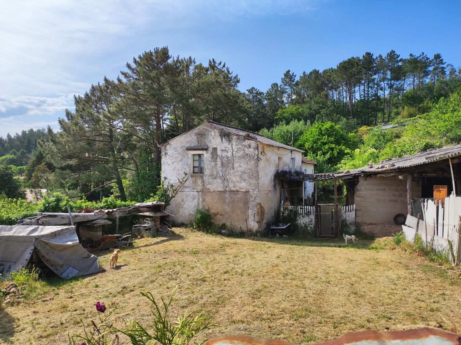 Casas o chalets-Venta-Culleredo-2418035-Foto-8