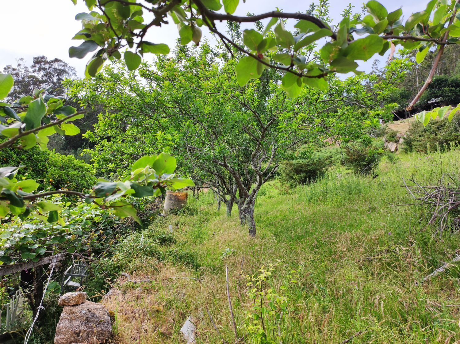 Casas o chalets-Venta-Culleredo-2418035-Foto-12
