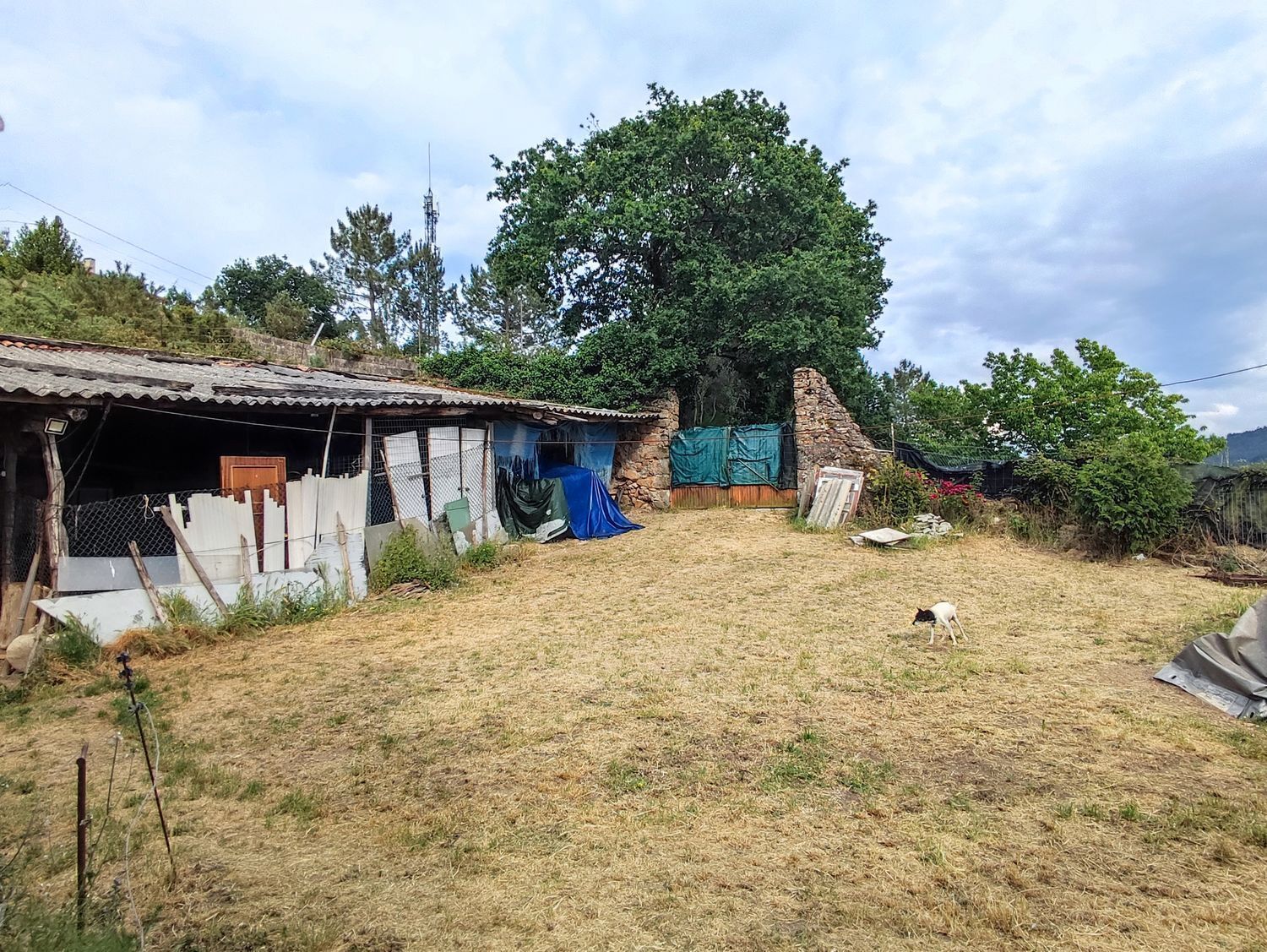 Casas o chalets-Venta-Culleredo-2418035-Foto-16