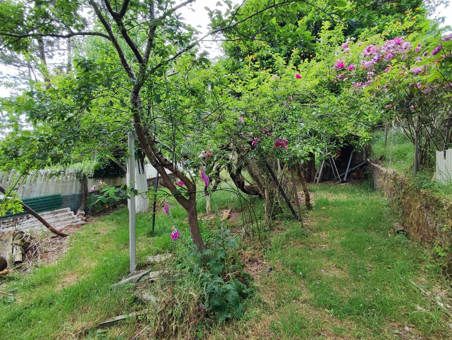 Casas o chalets-Venta-Culleredo-2418035-Foto-24