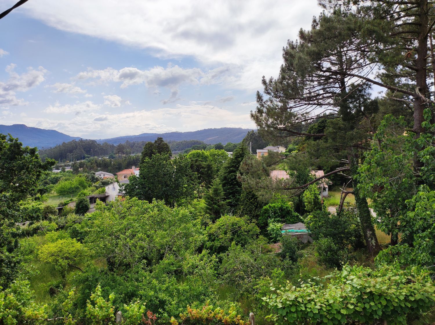 Casas o chalets-Venta-Culleredo-2418035-Foto-32