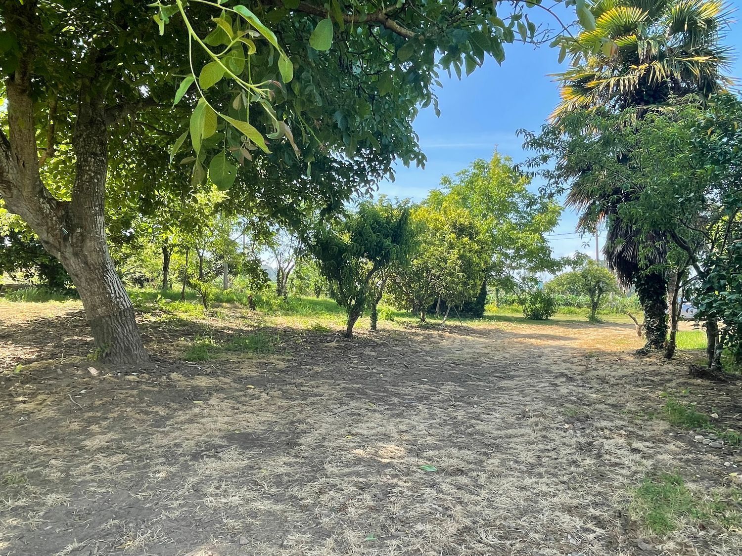 Pisos-Venta-MiÃ±o-2418020-Foto-8