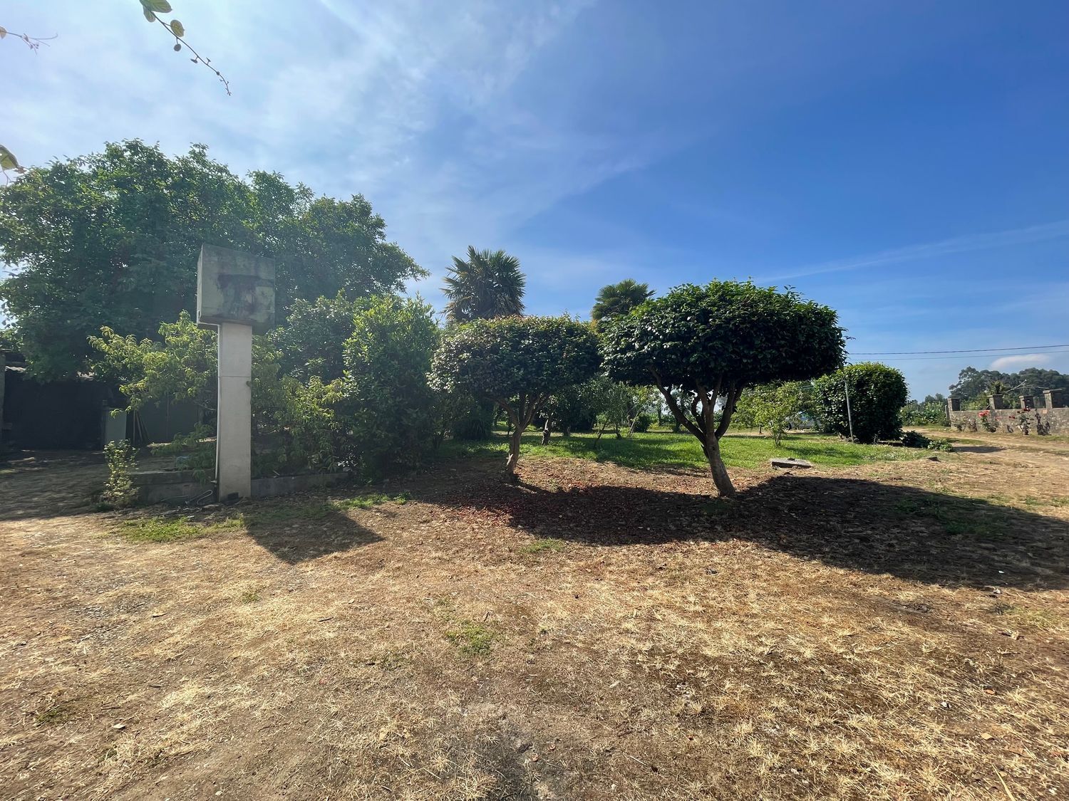 Pisos-Venta-MiÃ±o-2418020-Foto-10