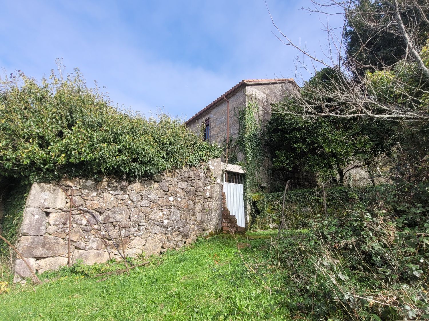 Pisos-Venta-Caldas de Reis-2418002-Foto-15