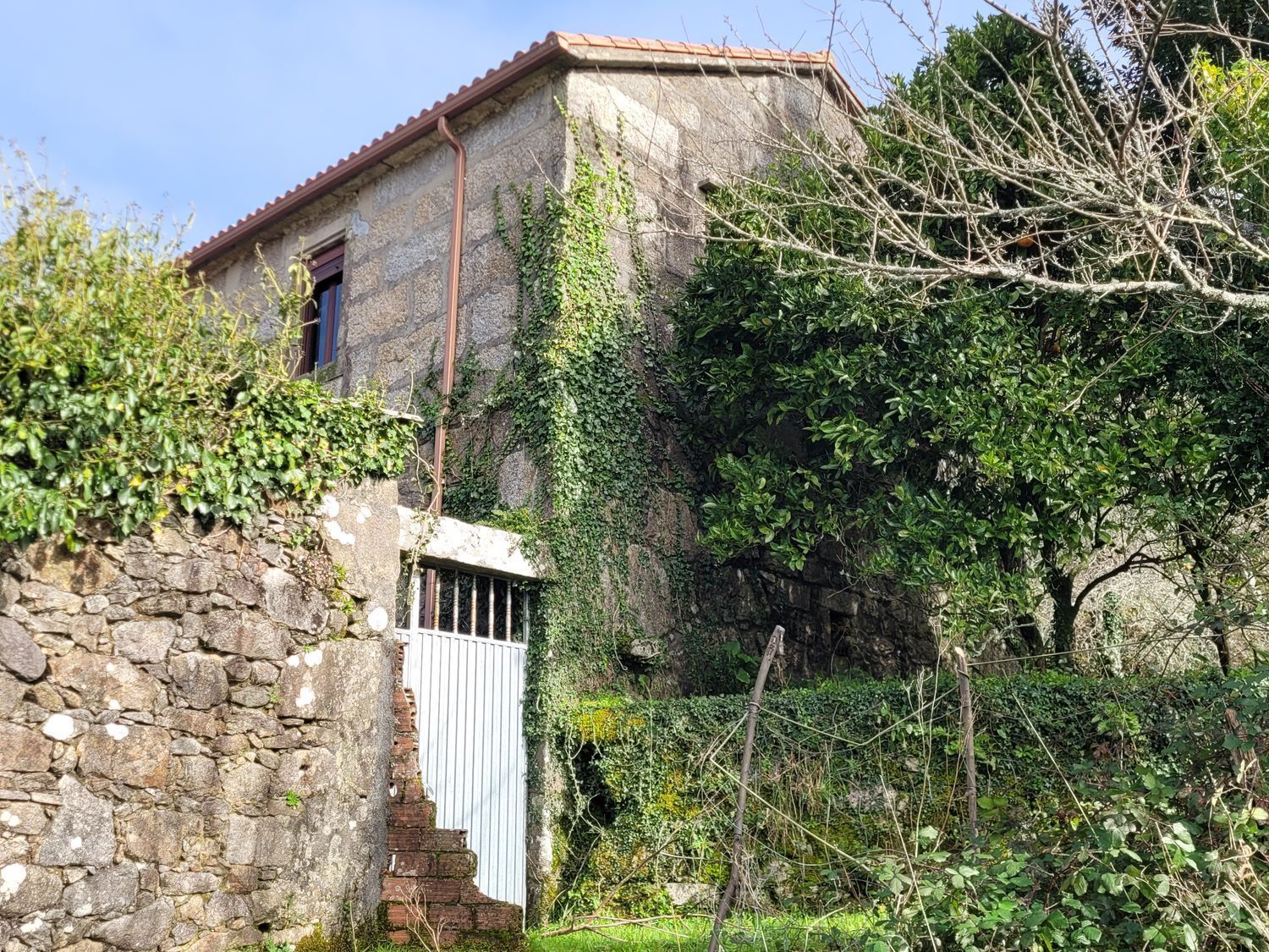 Pisos-Venta-Caldas de Reis-2418002-Foto-16