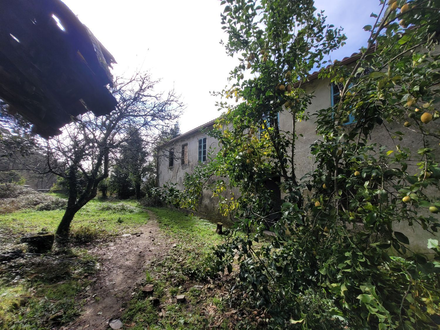 Pisos-Venta-Caldas de Reis-2418002-Foto-24