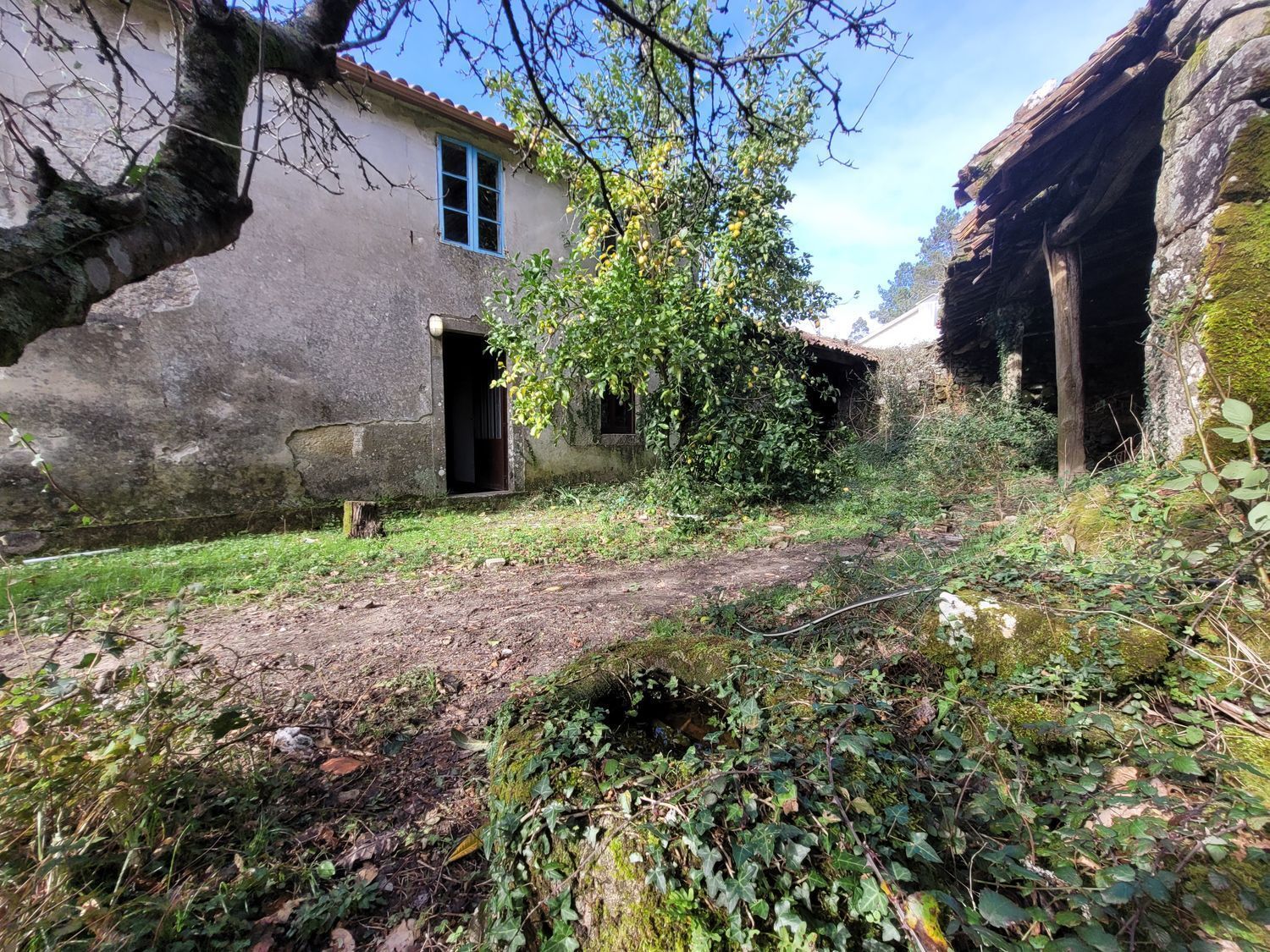 Pisos-Venta-Caldas de Reis-2418002-Foto-26