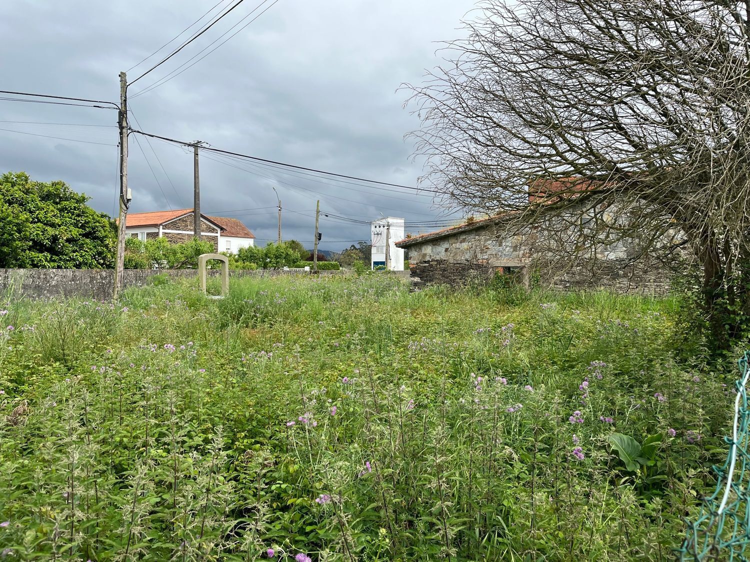 Pisos-Venta-ValdoviÃ±o-2417999-Foto-6