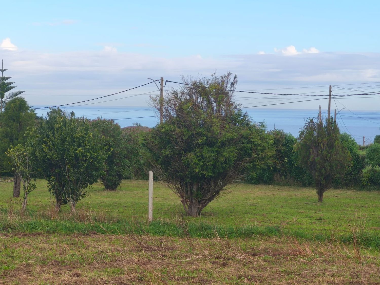 Fincas y solares-Venta-Ferrol-2417993-Foto-2