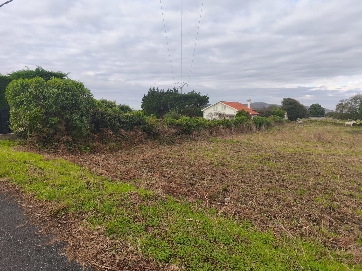 Fincas y solares-Venta-Ferrol-2417993-Foto-3