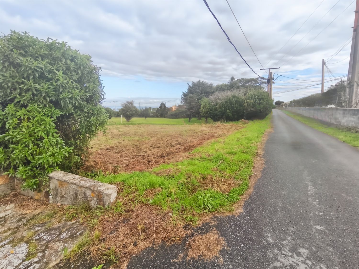 Fincas y solares-Venta-Ferrol-2417993-Foto-8