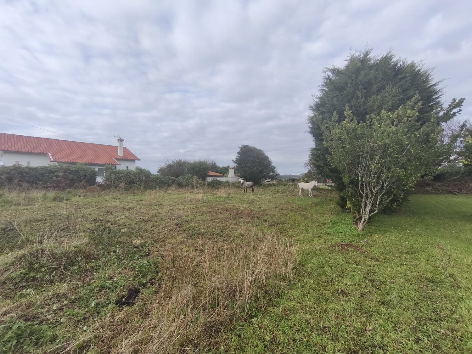 Fincas y solares-Venta-Ferrol-2417993-Foto-11