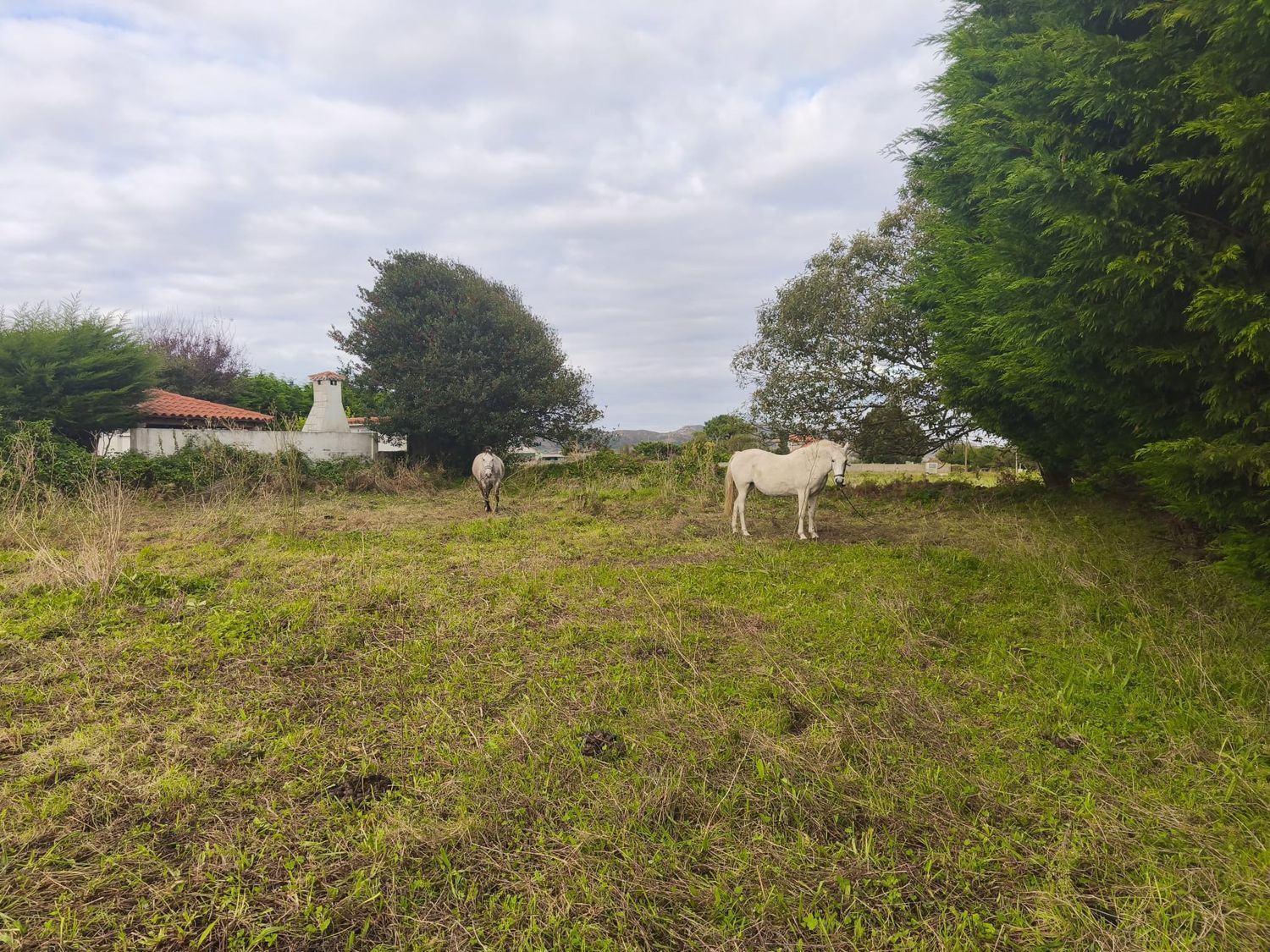 Fincas y solares-Venta-Ferrol-2417993-Foto-12