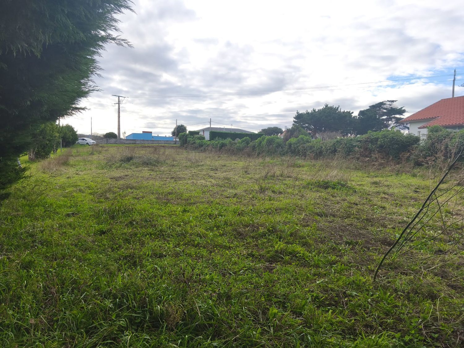 Fincas y solares-Venta-Ferrol-2417993-Foto-16