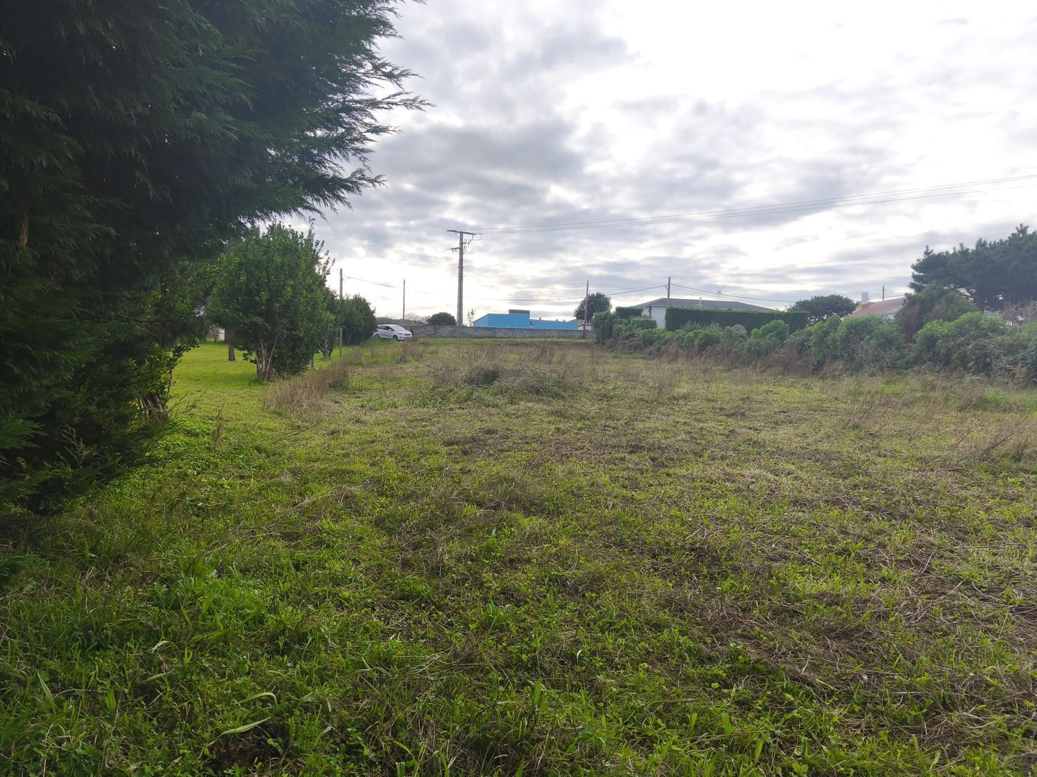 Fincas y solares-Venta-Ferrol-2417993-Foto-15